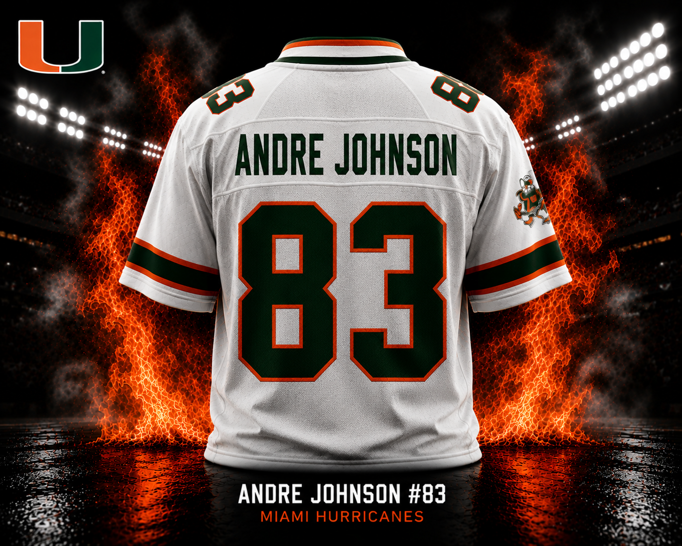 D.J. Williams #17 Miami Hurricanes Throwback Jersey - back view
